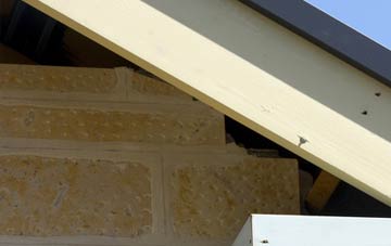 soffit repair Fosterhouses