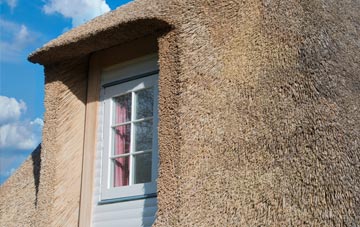 Fosterhouses thatch roof disadvantages